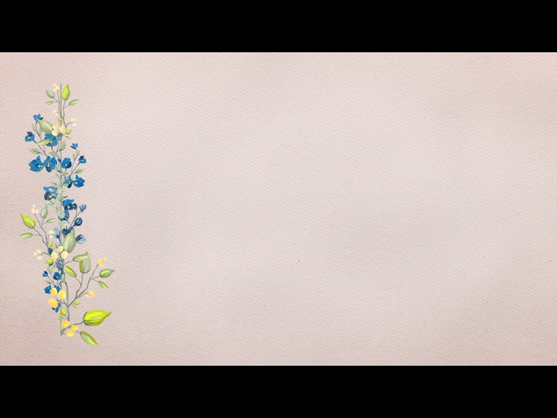 PETITE FLOWER: LOOP 06