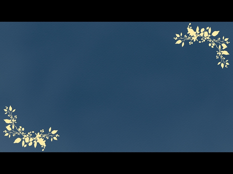 PETITE FLOWER: LOOP 07