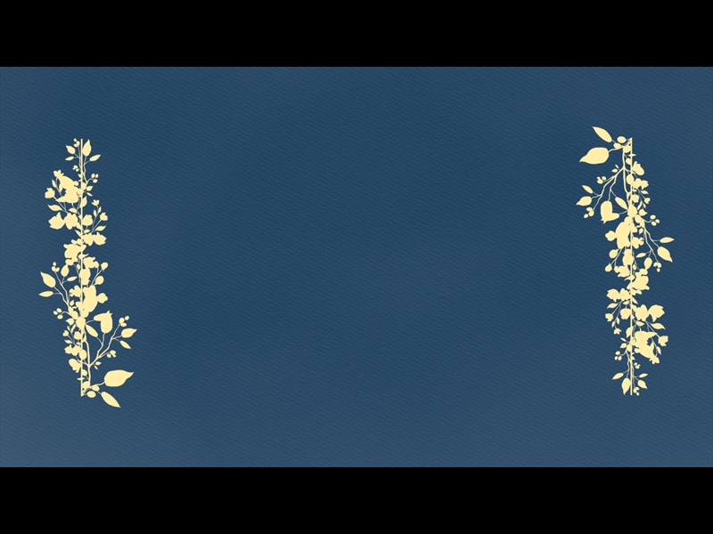 PETITE FLOWER: LOOP 08