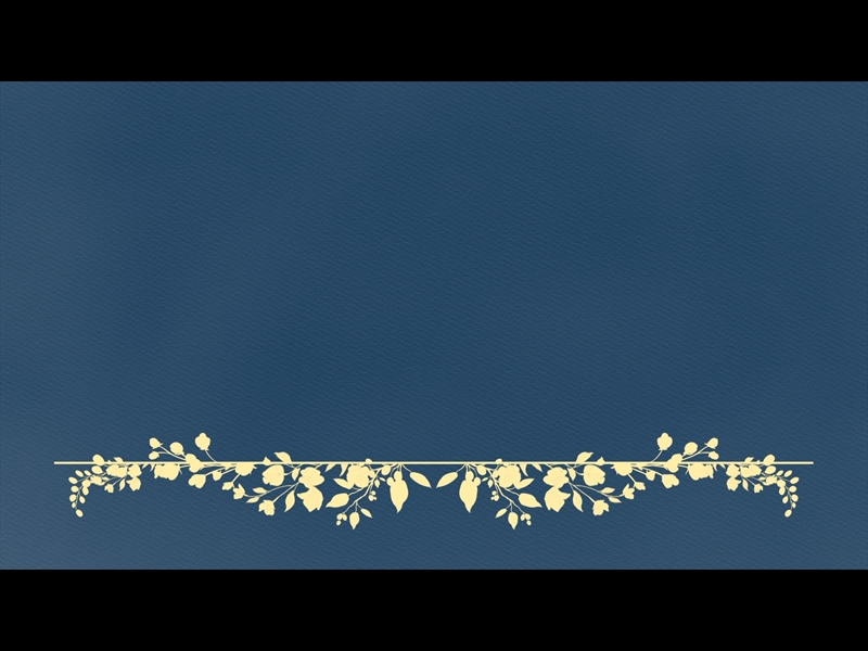 PETITE FLOWER: LOOP 09