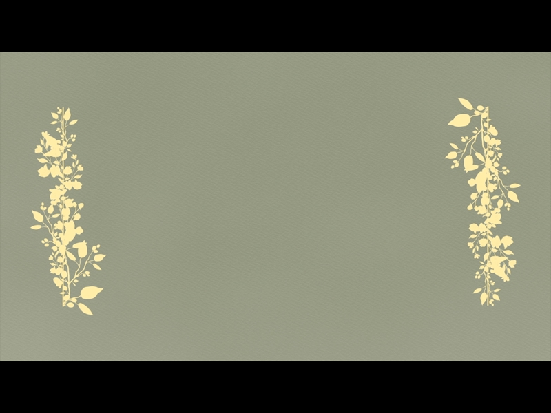 PETITE FLOWER: LOOP 11