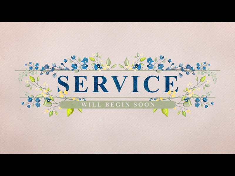 PETITE FLOWER: SERVICE