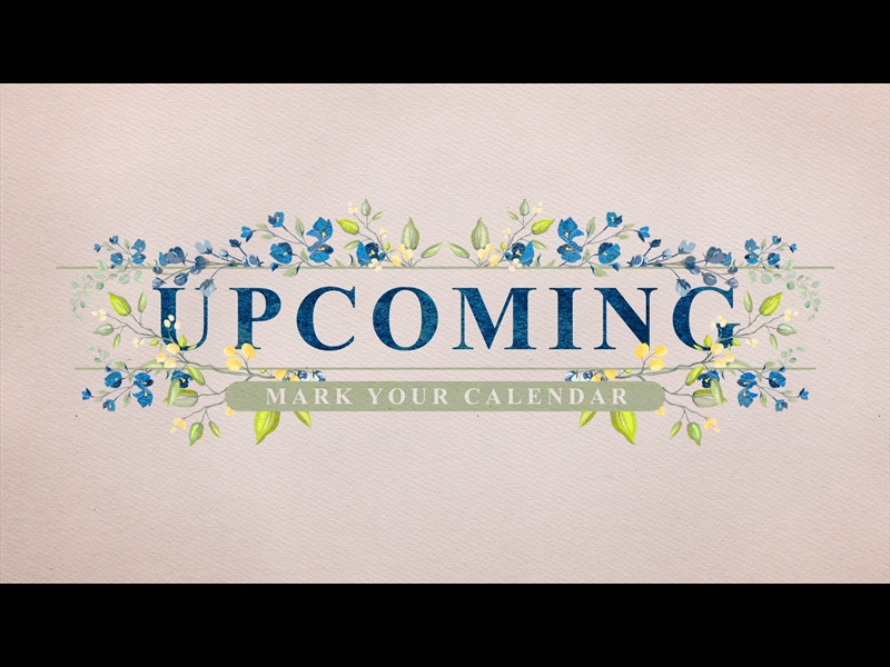 PETITE FLOWER: UPCOMING