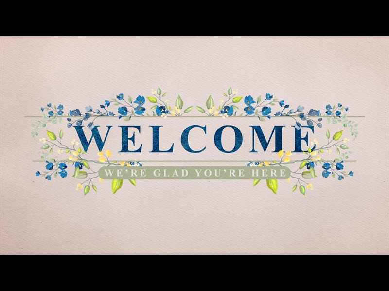 PETITE FLOWER: WELCOME