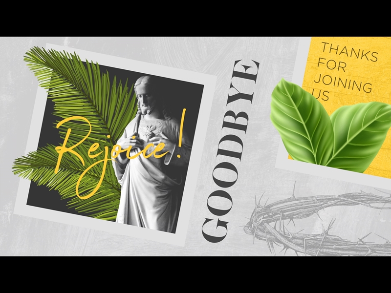 POLAROID PALM GOODBYE