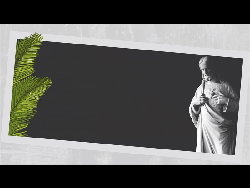 POLAROID PALM LOOP 01