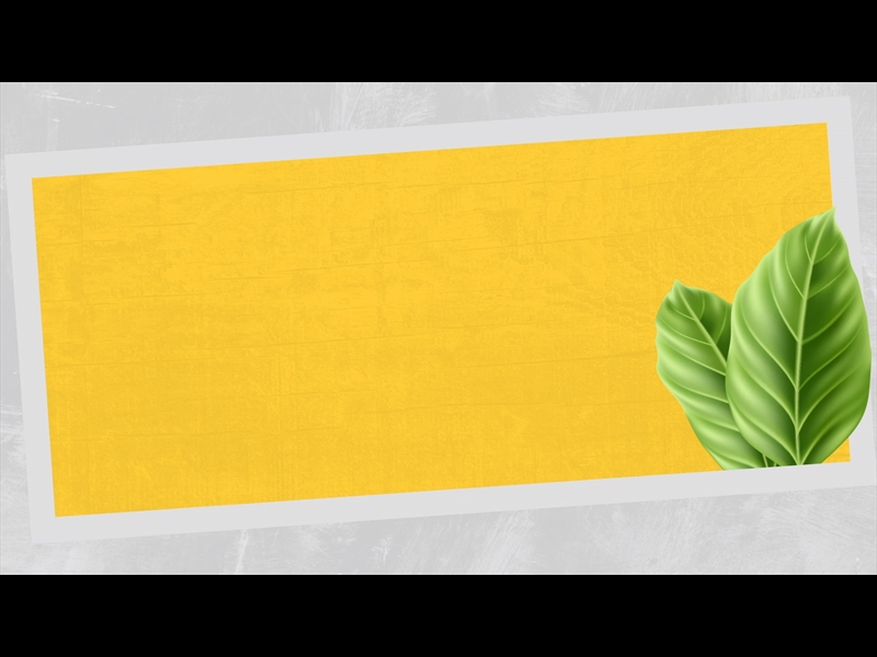 POLAROID PALM LOOP 02