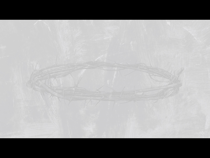 POLAROID PALM LOOP 03