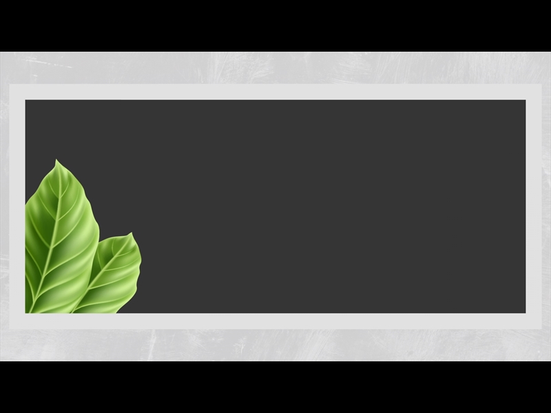 POLAROID PALM LOOP 04