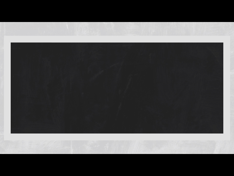 POLAROID PALM LOOP 05