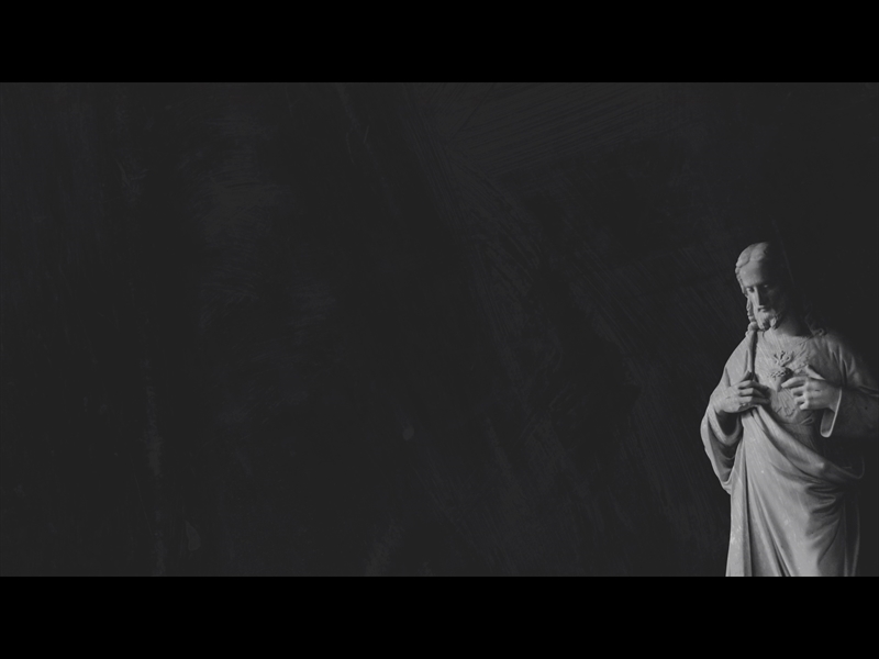 POLAROID PALM LOOP 06