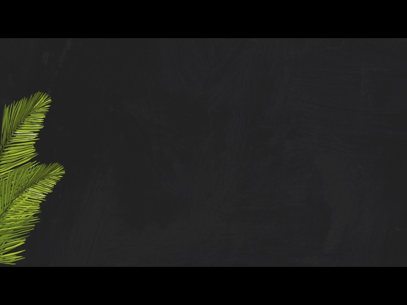 POLAROID PALM LOOP 07