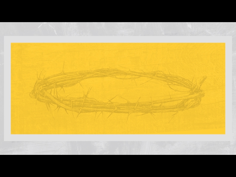 POLAROID PALM LOOP 08