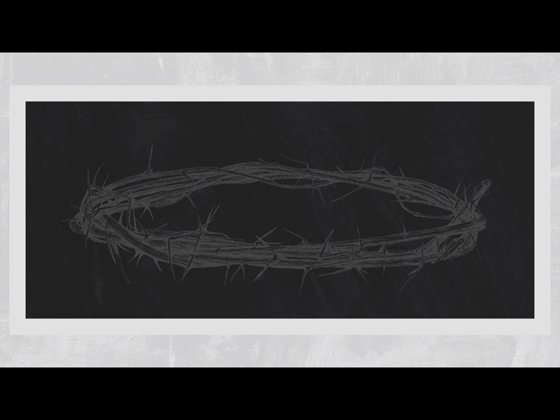 POLAROID PALM LOOP 09