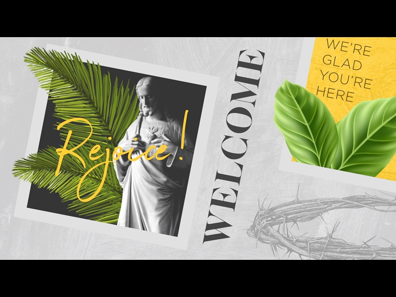 POLAROID PALM WELCOME