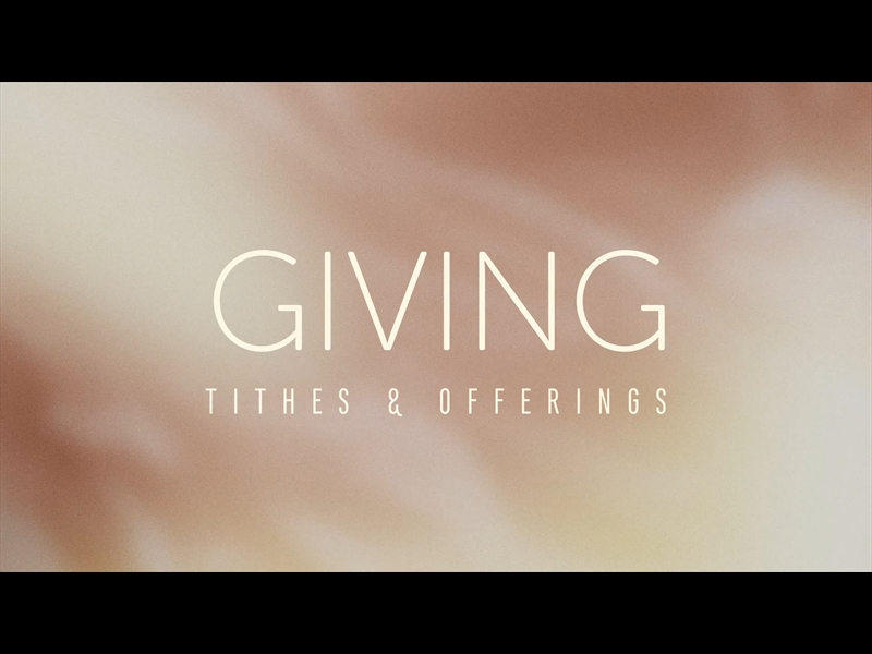 SHIMMER: GIVING