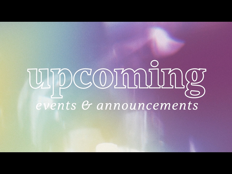 SHINE BRIGHT UPCOMING