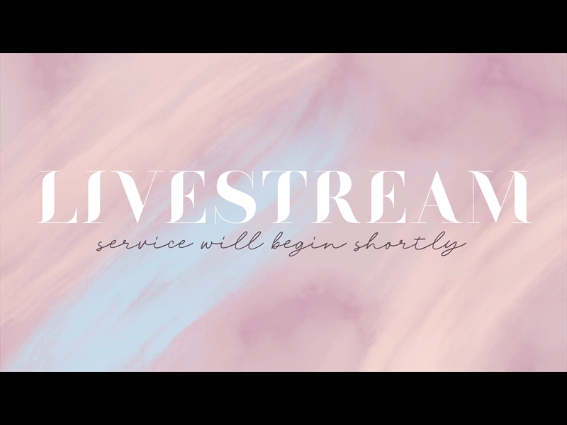 SWEET BREEZE: LIVESTREAM