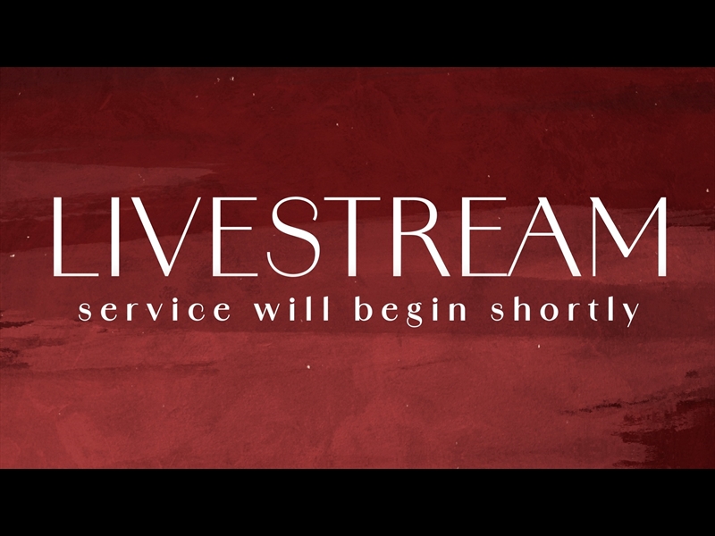 TANNENBAUM LIVESTREAM