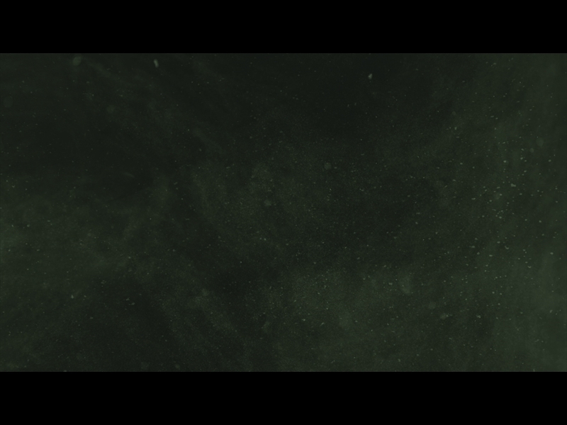 WINTER LUSTER: LOOP 07