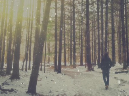 IF A HIPSTER WALKS IN THE FOREST