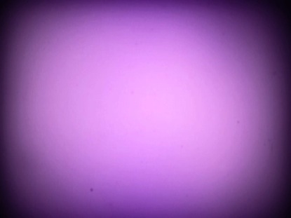 PURPLE 5