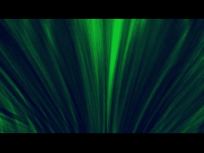 GREEN PALM SUNDAY MOTION GRAPHICS