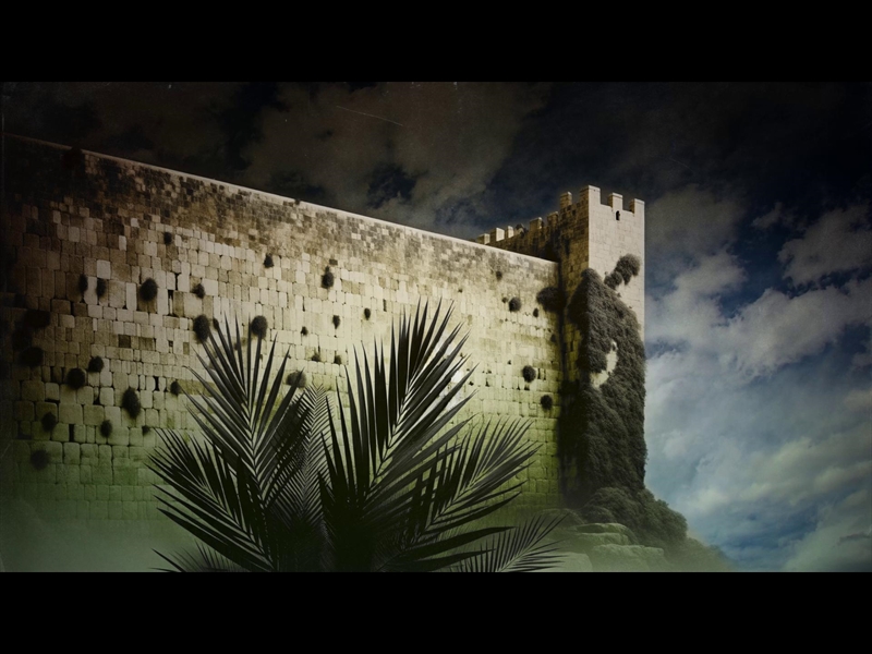 PALM SUNDAY STONE WALL MOTION