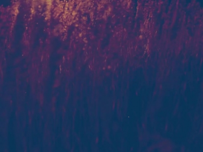 SUMMER EVENING MOTION LOOP