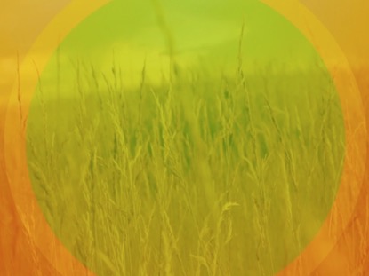 Summer Grass Motion Worship | Videos2Worship | WorshipHouse Media