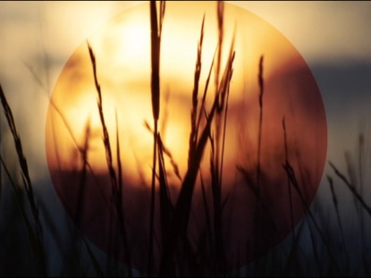 SUMMER SUNSET TALL GRASS