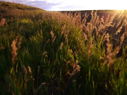 SUNMMER EVENING SUNSET BACKGROUND