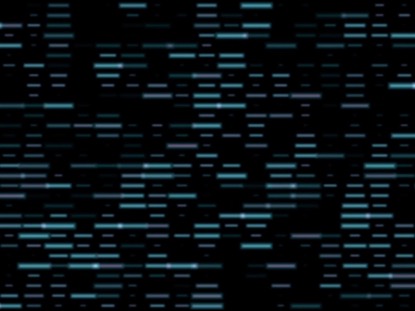 THE SOUND OF WORSHIP