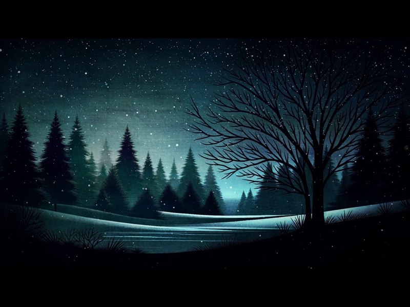 TREES DURING WINTER AND FALLING SNOW