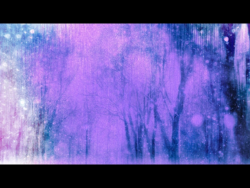 WINTER FOREST AND FALLING SNOW