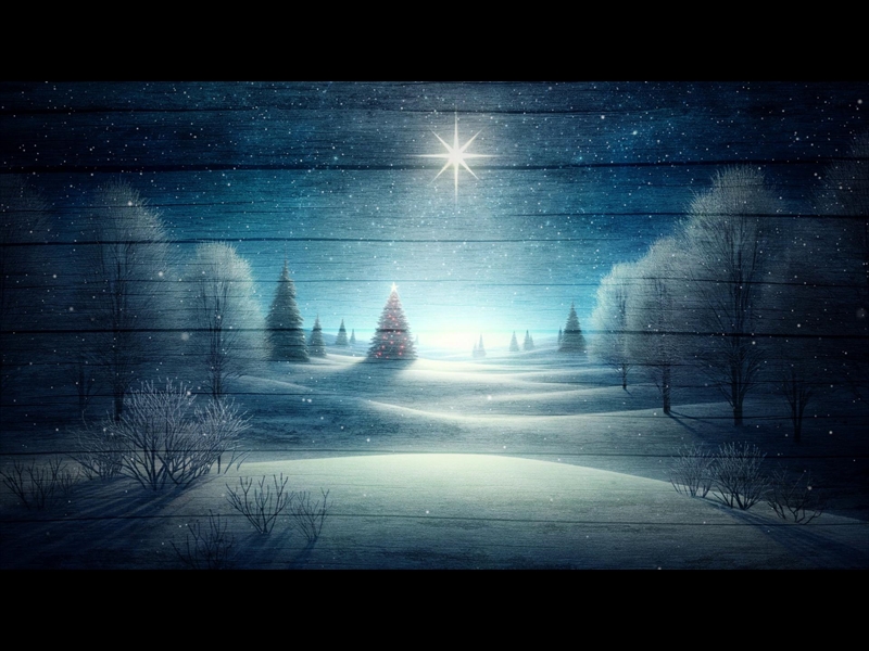 WINTER HOLIDAYS OUTDOORS NATURE SCENE