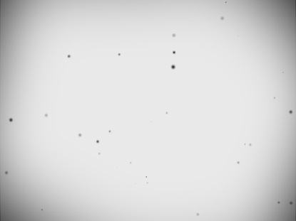 BLACK AND WHITE BLANK MOTION