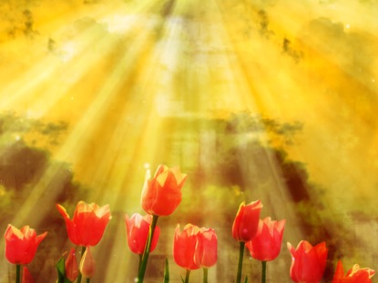 Mother's Day Background 2 | Vertical Hold Media | WorshipHouse Media