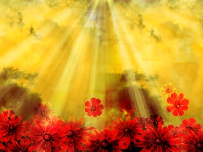 MOTHER'S DAY MOTION 2