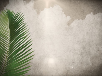 PALM SUNDAY MOTION 6