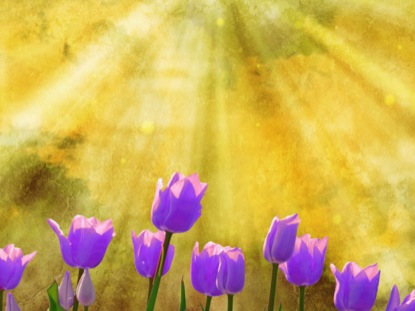 Spring Motion 2 | Vertical Hold Media | WorshipHouse Media