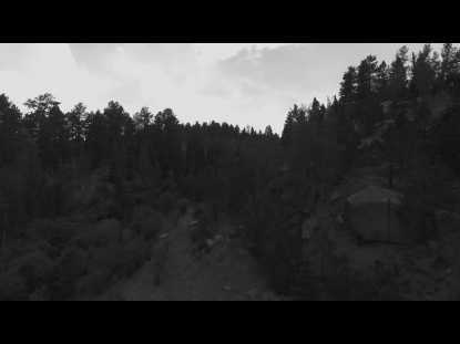 AERIAL FOREST REMIX