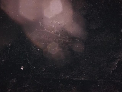 ALPHA AND OMEGA PINK