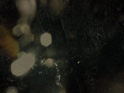 ALPHA AND OMEGA WARM