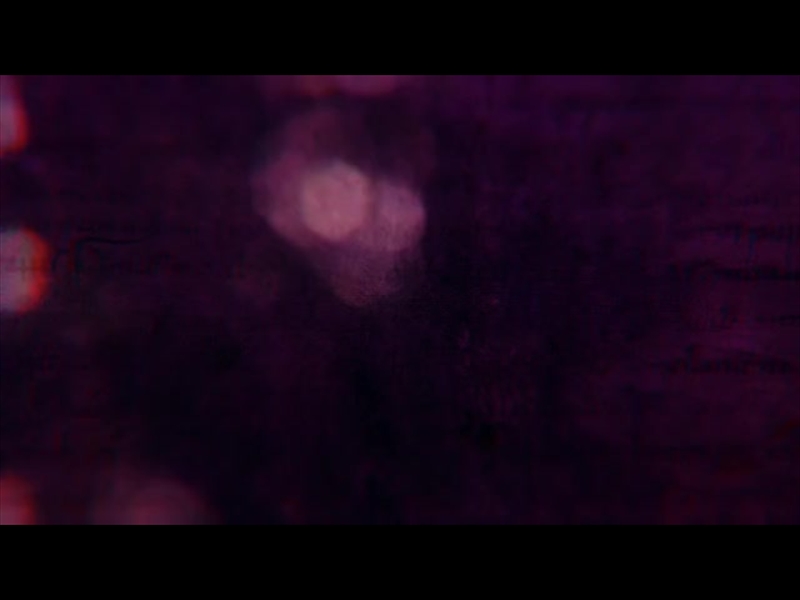 ANCIENT WORDS PURPLE