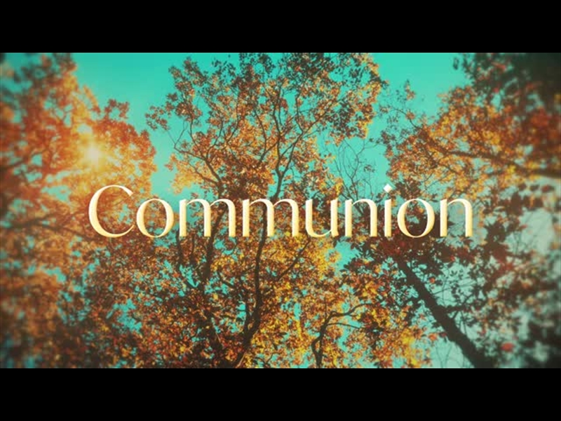 Autumn Canopies Communion | Shift Worship | WorshipHouse Media