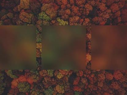 AUTUMN COLORS ABOVE ALT