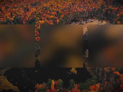 AUTUMN COLORS BURST ALT