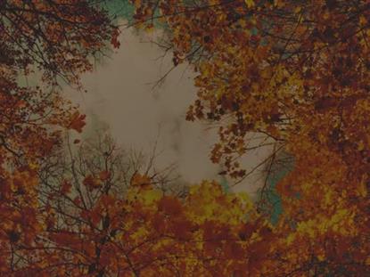 AUTUMN COLORS CANOPY