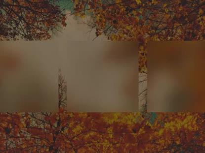 AUTUMN COLORS CANOPY ALT